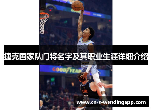 捷克国家队门将名字及其职业生涯详细介绍 捷克国家队门将名字及其职业生涯详细介绍