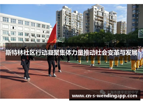 斯特林社区行动凝聚集体力量推动社会变革与发展 斯特林社区行动凝聚集体力量推动社会变革与发展