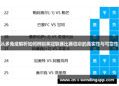 从多角度解析如何辨别英冠联赛比赛信息的真实性与可靠性