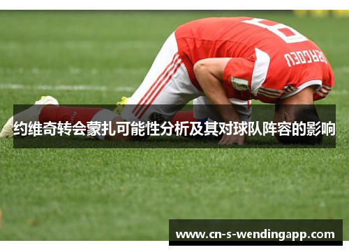 约维奇转会蒙扎可能性分析及其对球队阵容的影响