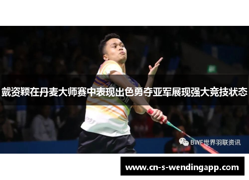 戴资颖在丹麦大师赛中表现出色勇夺亚军展现强大竞技状态 戴资颖在丹麦大师赛中表现出色勇夺亚军展现强大竞技状态
