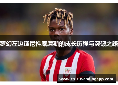 梦幻左边锋尼科威廉斯的成长历程与突破之路