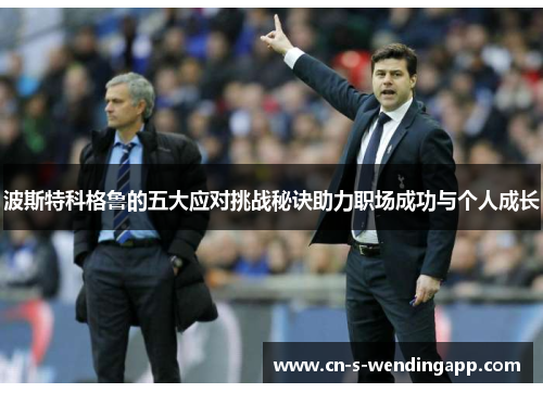 波斯特科格鲁的五大应对挑战秘诀助力职场成功与个人成长 波斯特科格鲁的五大应对挑战秘诀助力职场成功与个人成长