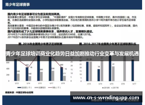 青少年足球培训商业化趋势日益加剧推动行业变革与发展机遇 青少年足球培训商业化趋势日益加剧推动行业变革与发展机遇