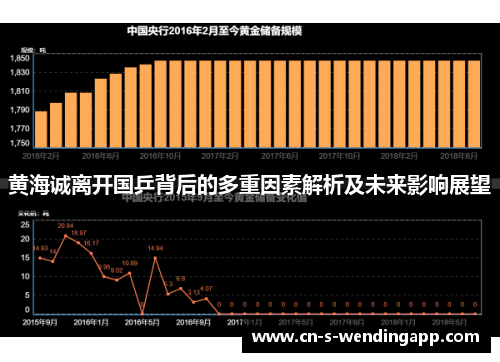 黄海诚离开国乒背后的多重因素解析及未来影响展望